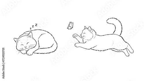 Two cute cats sleeping and playing Vector illustration Minimalist line
