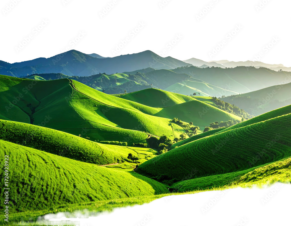 Obraz premium Lush green hills rolling gently into the distance under a vibrant sky