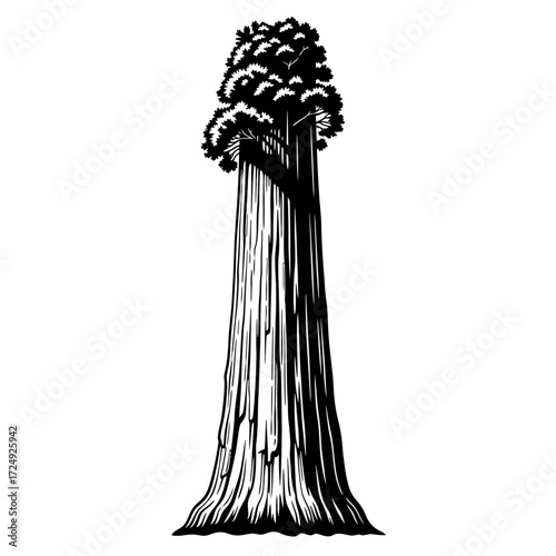Classical Botanical Silhouette Towering Ancient Redwood Trunk Fluted Column Vector Design Element