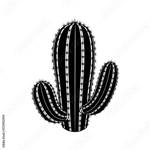Architectural Plant Detail Silhouette Cactus Ribbing Pattern Geometric Repetition Design Vector