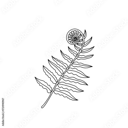 Elegant Black Vector Unfurling Fern Frond Symbolizing New Beginnings Growth and Potential