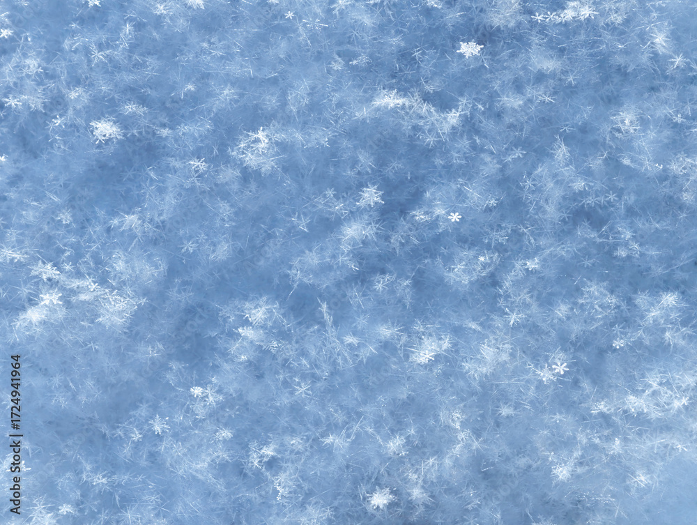 Obraz premium Macro photograpy of snowflakes. Background of winter fluffy snow texture.