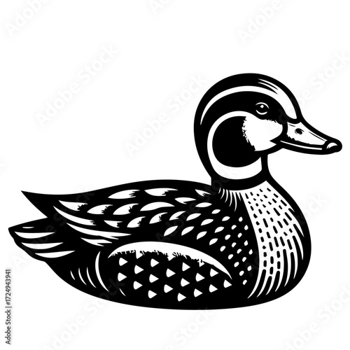 Illustration of a black and white duck with detailed feather patterns and a sleek body design in side view