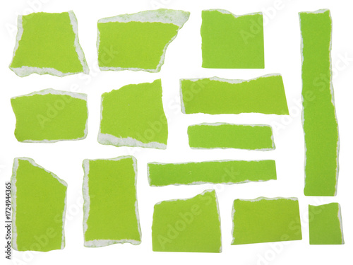 Set of pieces of torn or cut green paper, design elements isolated on white background.