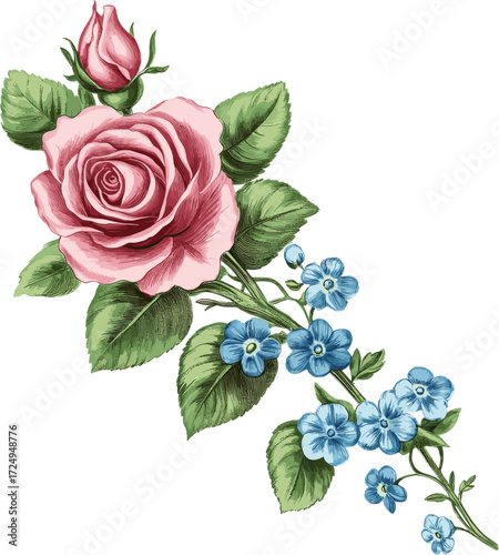 Rose flower with forget me not flower and green leaves in vintage style, Vector design illustration for Decoration