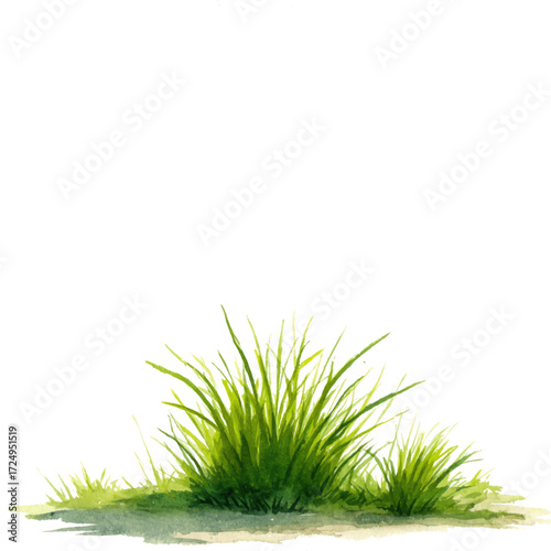 
Watercolor, grass clipart, detailed, high-quality, white background, clear lines
