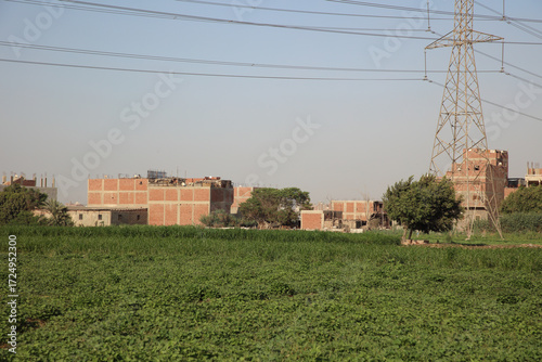 trees, grass, wind, houses, and power lines