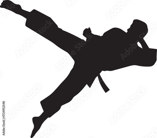 Dynamic silhouette of a martial artist performing a high side kick in combat