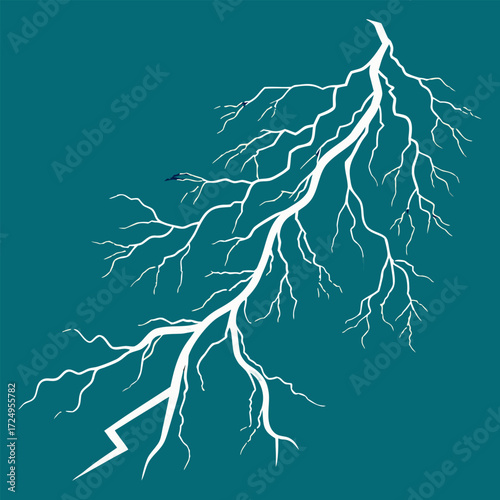 vector