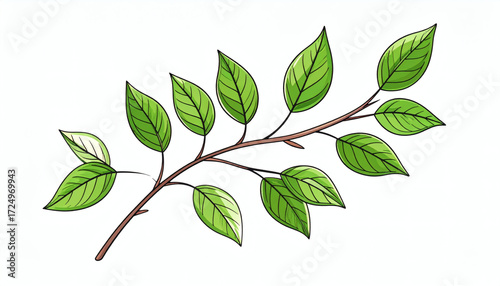 Hand-drawn twig with green leaves, botanical illustration, leafy branch sketch, natural foliage artwork, realistic plant twig design