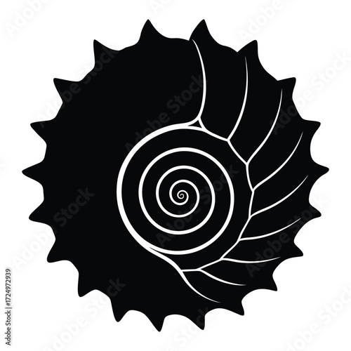 Spiral Shell Design Black and White Nautical Seashell Illustration on White Background