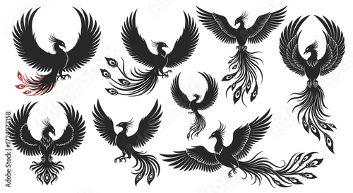 A collection of stylized phoenix illustrations with flowing tails.