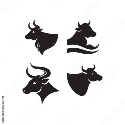 black and white cows