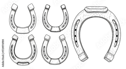 A collection of six horseshoes displayed in various sizes and designs for equestrian use and good luck charms.