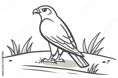 Bald Eagle Perched on Pine Branch Vector Illustration