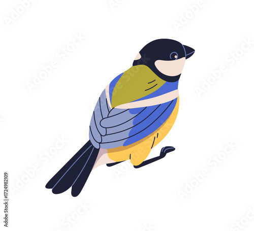 Small bird from back, behind. Great tit, Parus major with colorful feather, plumage, blue wings. Winter avian animal with beak, tail, sitting. Flat vector illustration isolated on white background