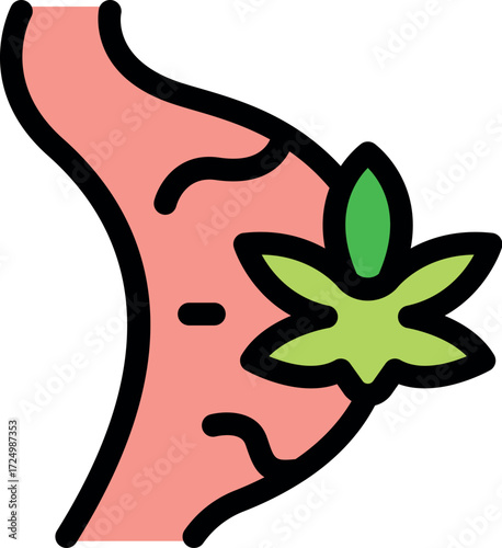 Cannabis leaf on stomach representing alternative medicine and herbal remedies for digestive health