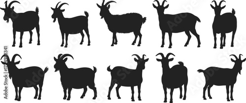 Goat Silhouettes in Various Poses, Horn Shapes, Livestock Illustration, Animal Morphology, Farm Animal Vector, Black Outline, Breed Diversity