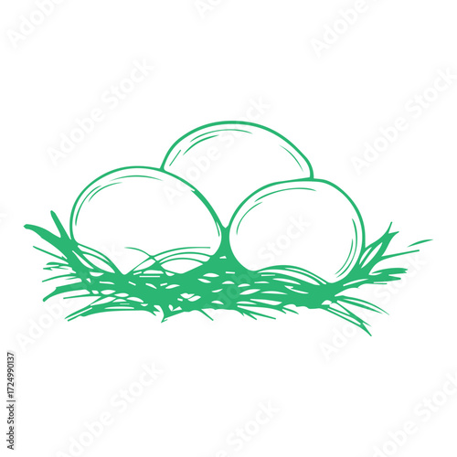 Eggs in a nest