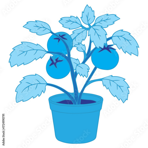 Potted Blue Fruit Plant