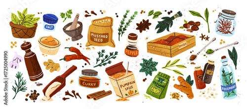 Set of various spices. Different seasoning: pepper, salt, oregano, leaves of bay, rosemary, dill. Flavouring, condiments. Flavoring for cooking. Flat isolated vector illustrations on white background