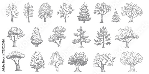 Minimal CAD Tree Line Drawing Set – Side View Tropical Trees Outline for Architecture and Landscape Design – Vector Stroke Illustration on White Background