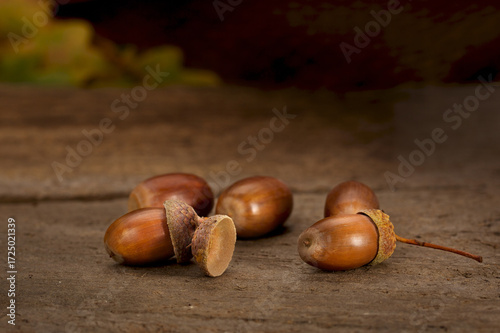 Close-up of acorns on an old rustic wooden background, selective focus and copy space.
