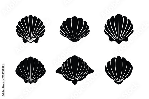 Collection of various seashell silhouette elements isolated on white.
