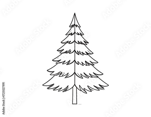 Simple Pine Tree Illustration.