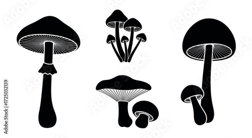 Collection of five distinct black mushroom silhouettes with detailed gills and stems isolated on transparent background