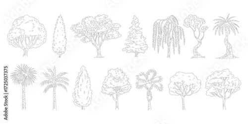 Minimal CAD Tree Line Drawing Set – Side View Tropical and Oak Trees – Vector Outline Symbols for Architecture and Landscape Design – Stroke Illustration on White Background