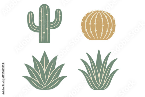 Textured saguaro cactus, barrel cactus, and agave plants in a desert landscape, showcasing a rustic and natural botanical collection