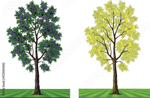 Vector illustration of flowering trees with green foliage and seasonal blossoms, vibrant garden plants for tropical landscape and decorative design