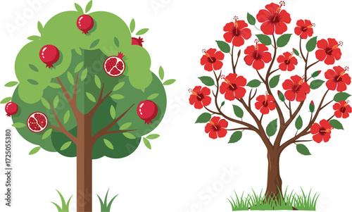 Vector illustration of fruit tree with ripe pomegranates and blooming hibiscus tree with red flowers, tropical garden decorative design
