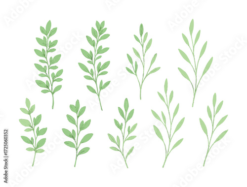 Collection of green leafy branches on white background