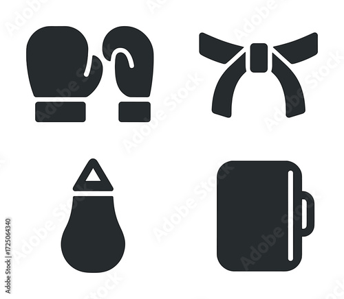 Boxing and martial arts symbols including gloves and belt icons