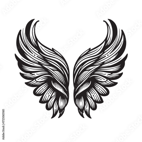Angel Wings Vector | Decorative Wing Illustration Set”
