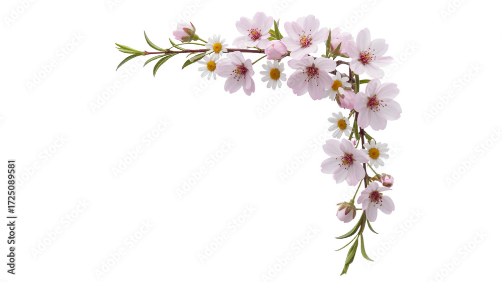 Obraz premium Delicate pink cherry blossoms and daisies in a corner arrangement