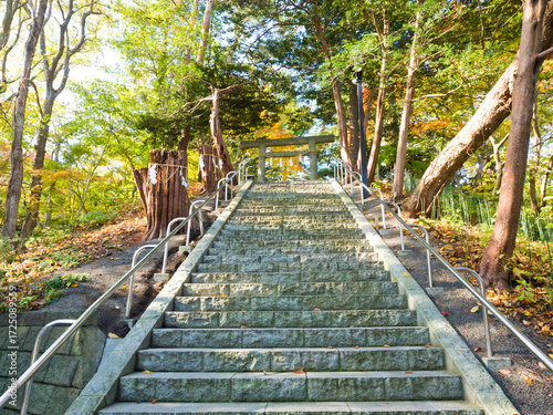 The Chitose Shrine is a Shinto shrine located in Chitose town, Japan. Sited in Aoba Park near New Chitose Airport.