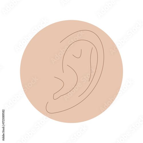 human ear. body parts. sense of hearing. health theme. vector illustration