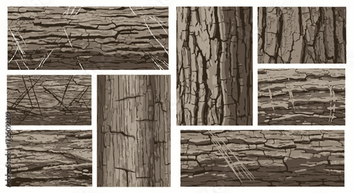 Nature Texture Exploration, Wooden Bark Patterns, Outdoor Environment, Photographic Art, Close-up View, Natural Aesthetics