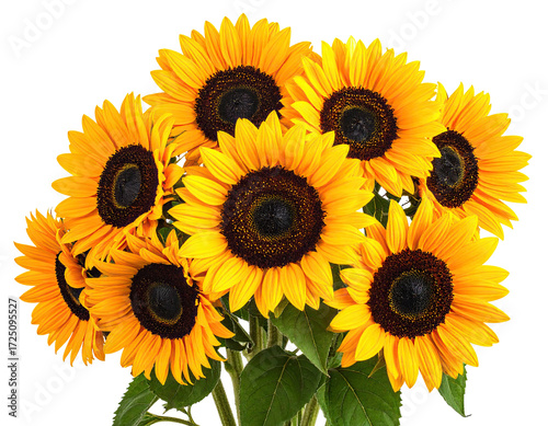 Wallpaper Mural Close-up of a vibrant bouquet of sunflowers Torontodigital.ca
