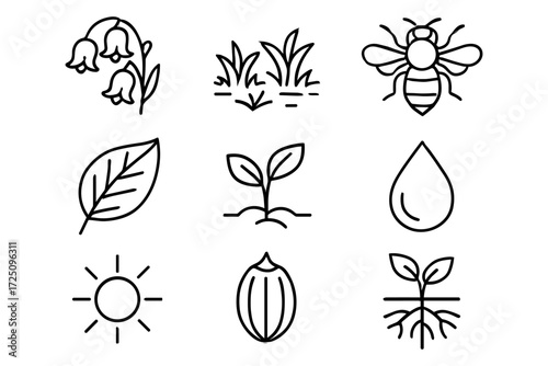 Minimalist nature icons: plants, insects, and growth elements in black and white
