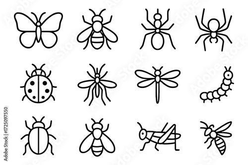 Minimalist outline collection of insects and bugs