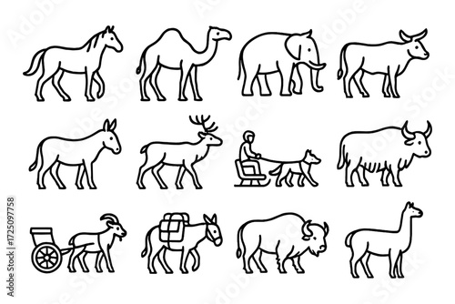 Linear outline icons of domestic and wild animals for agriculture and travel