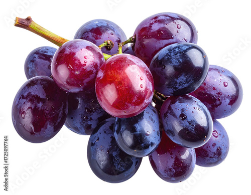 Wallpaper Mural Close-up of a bunch of red and purple grapes with water droplets Torontodigital.ca
