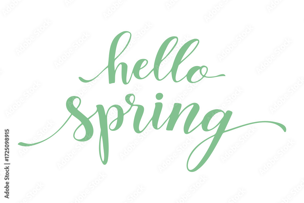 Obraz premium Hello Spring lettering, mint green inscription, text isolated on white background.