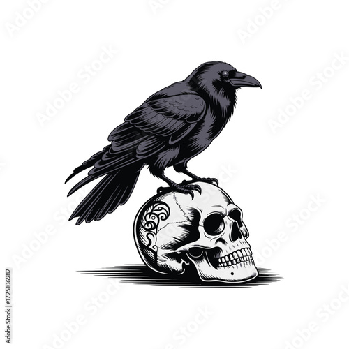 
Gothic Raven Skull Illustration with Sharp Contrast