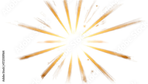 A bright, golden lens flare with distinct rays emanating outwards,