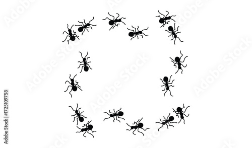 Silhouette of ants forming a rectangle shape on white background